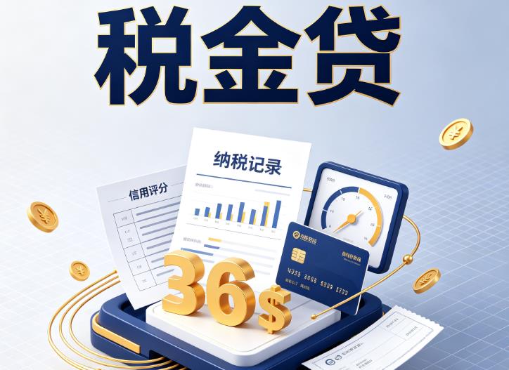 杭州滨江区企业税贷|杭州滨江区企业设备回租|杭州滨江区税贷过桥
